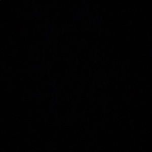 Meet your Posher, Malorie